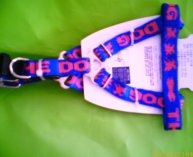 爱宠无忧 以最实惠的价格，提供最优质的宠物用品与服务