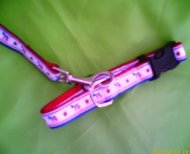 优质平价，爱宠无忧 我们为您的宠物提供最贴心的服务