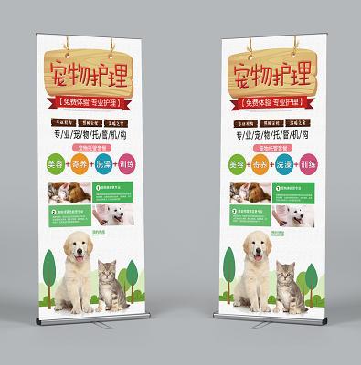 宠物零食新蓝海 创业掘金，服务先行