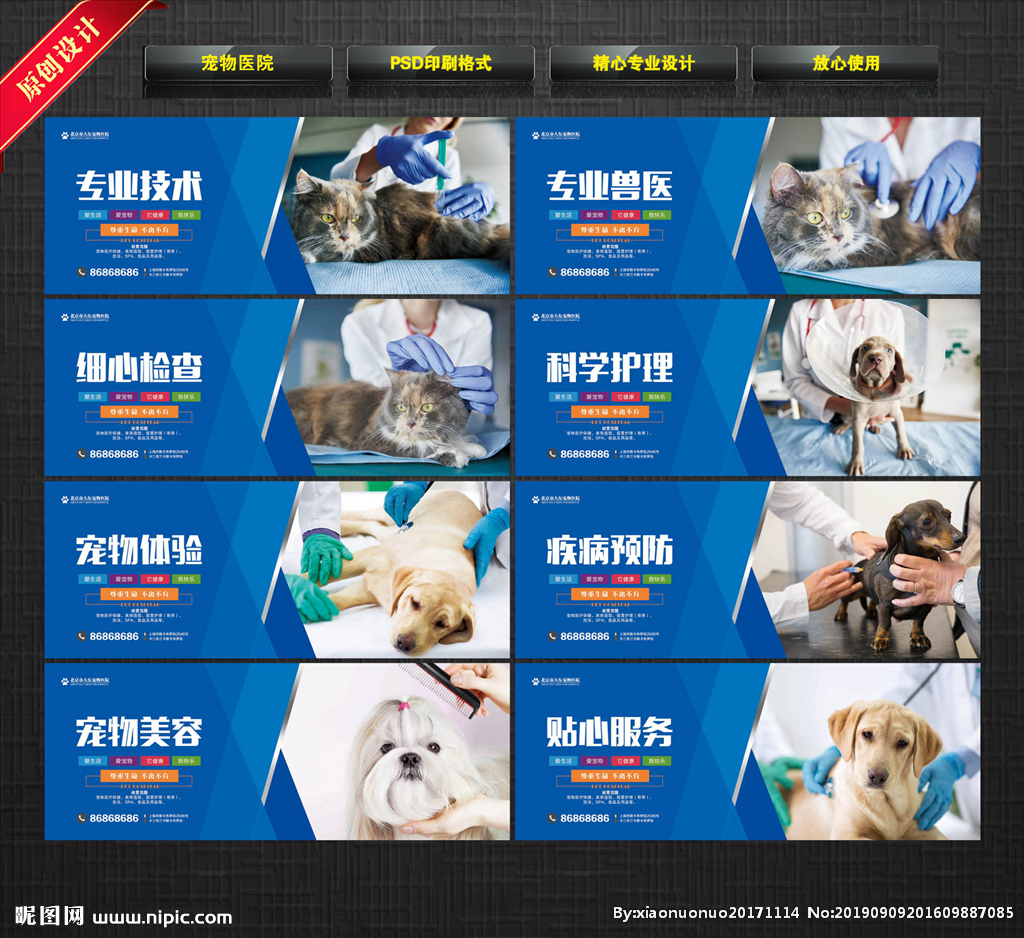 宠物医院设计图 广告设计与品牌塑造的全流程解析