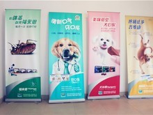 重庆新牌坊宠物医院 为爱宠保驾护航的温馨港湾